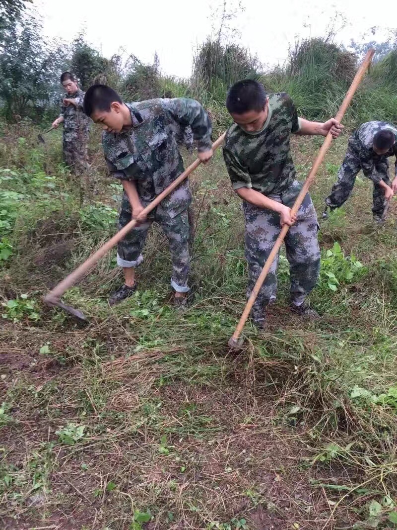 自闭孩子除草活动